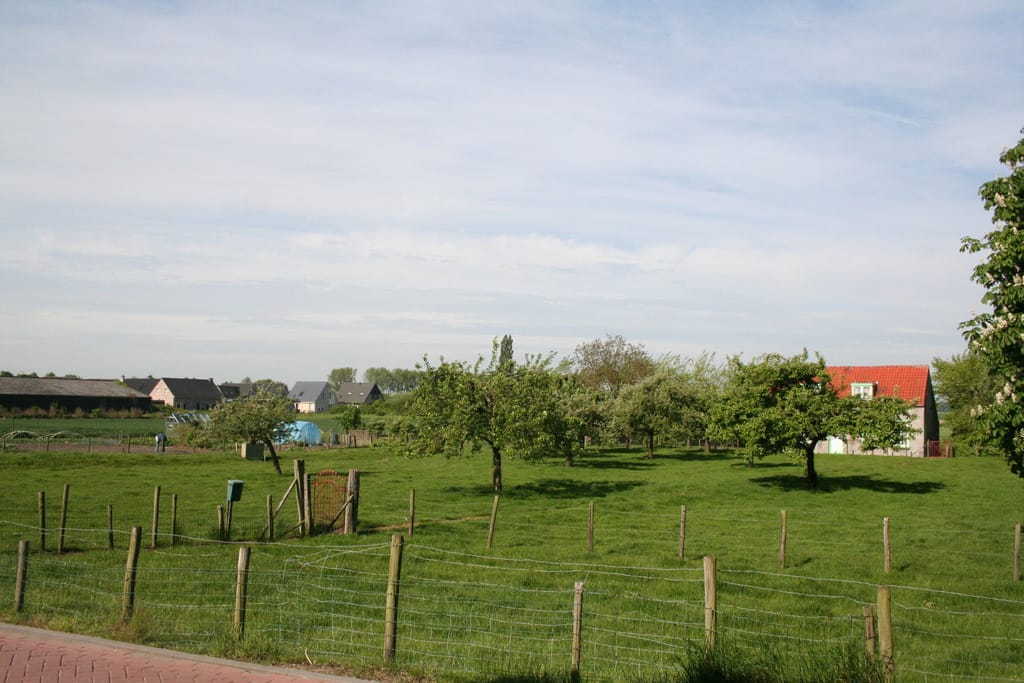 Foto 12 van Noordstraat 16