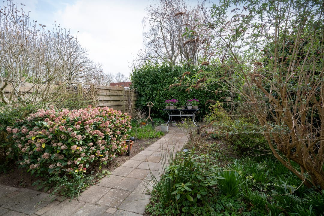 Foto 23 van Laan van het Kwekebos 245