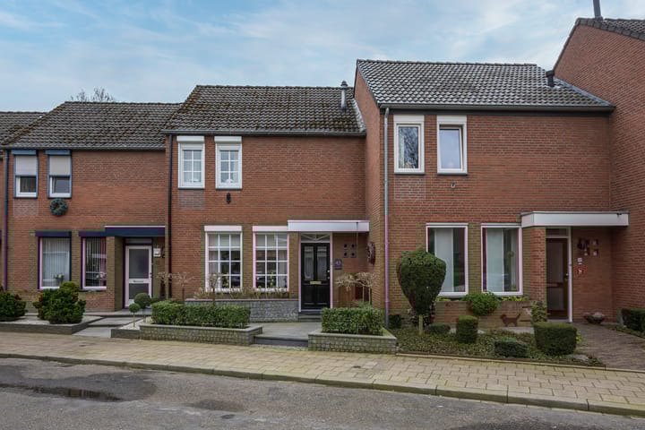 Foto 1 van Doverau 45