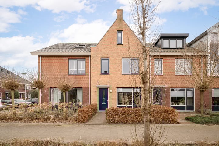 Foto 5 van Goudreinet 22