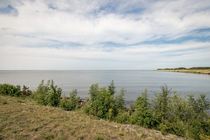 Foto 41 van Goudreinet 22