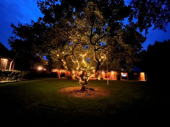 Foto 42 van Adolph van Ansenlaan 28