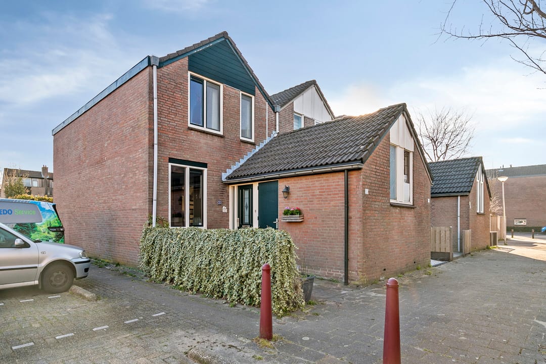 Foto 1 van Bladmos 33