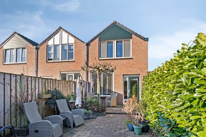 Foto 2 van Bladmos 33