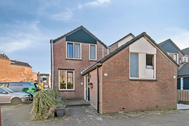 Foto 3 van Bladmos 33