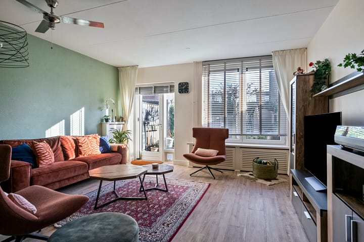 Foto 4 van Bladmos 33