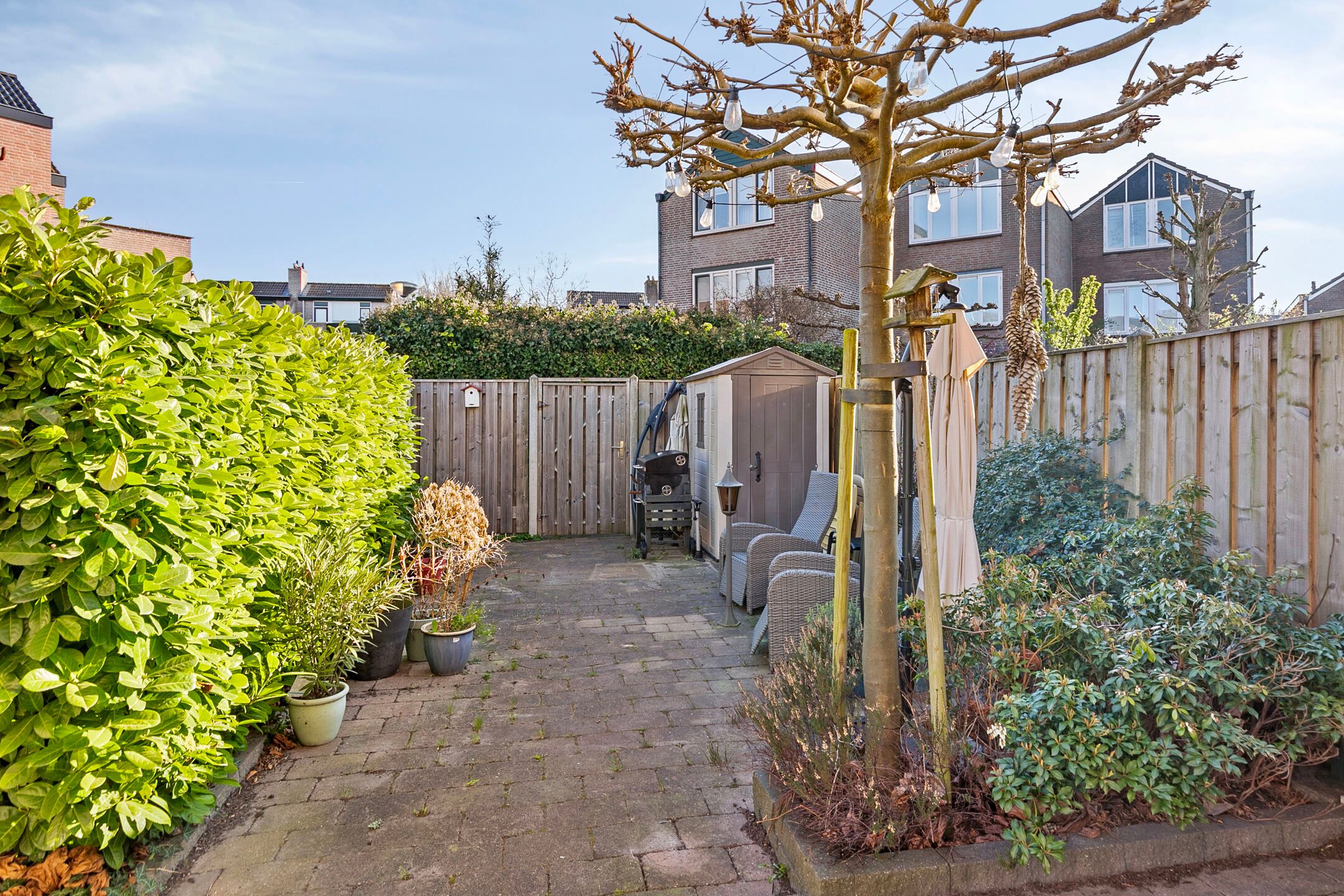 Foto 9 van Bladmos 33