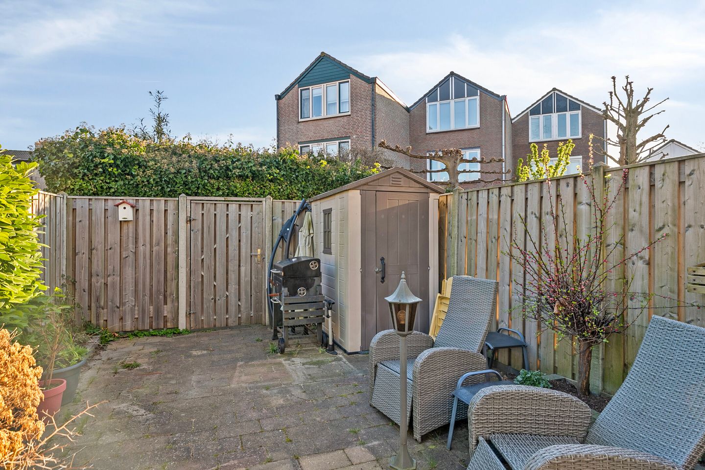 Foto 10 van Bladmos 33