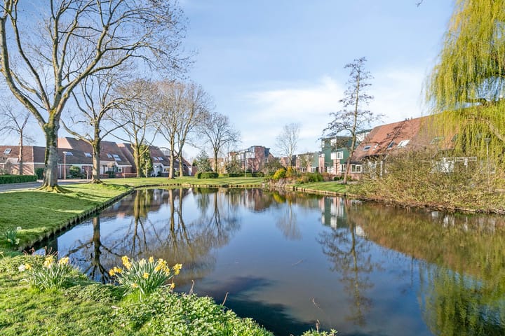 Photo 19 of Bladmos 33