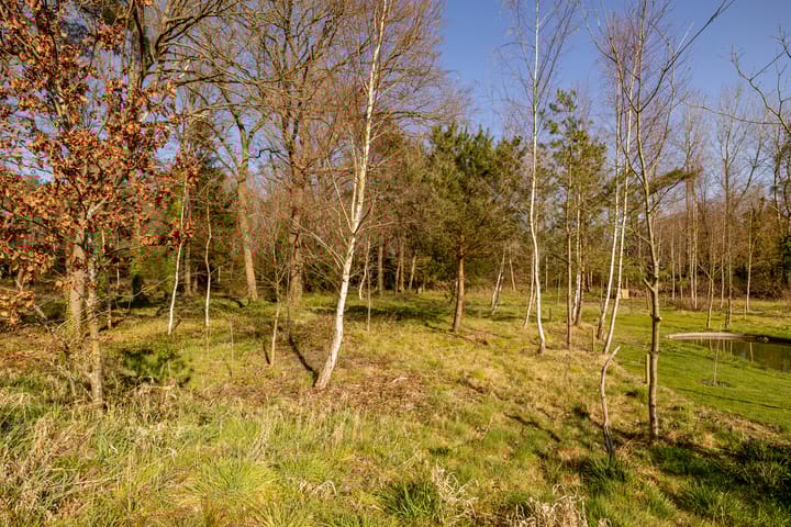 Foto 32 van Het Hooge Veld 1