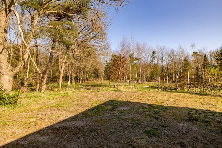 Foto 31 van Het Hooge Veld 1