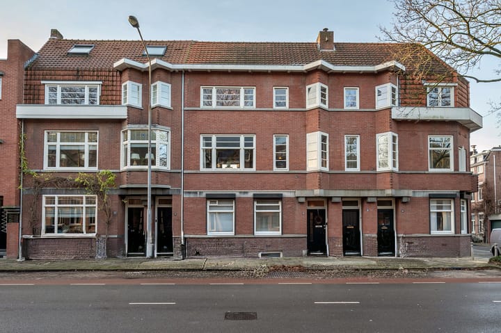 Foto 49 van Goltziusstraat 28