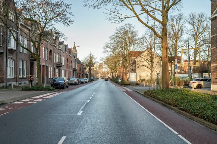 Foto 50 van Goltziusstraat 28