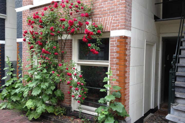 Govert Flinckstraat 119-H