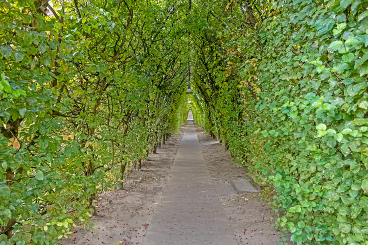 Foto 40 van Augustinessenhof 19