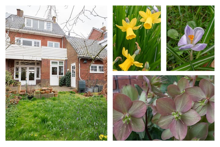 Foto 20 van Van Riebeecklaan 30