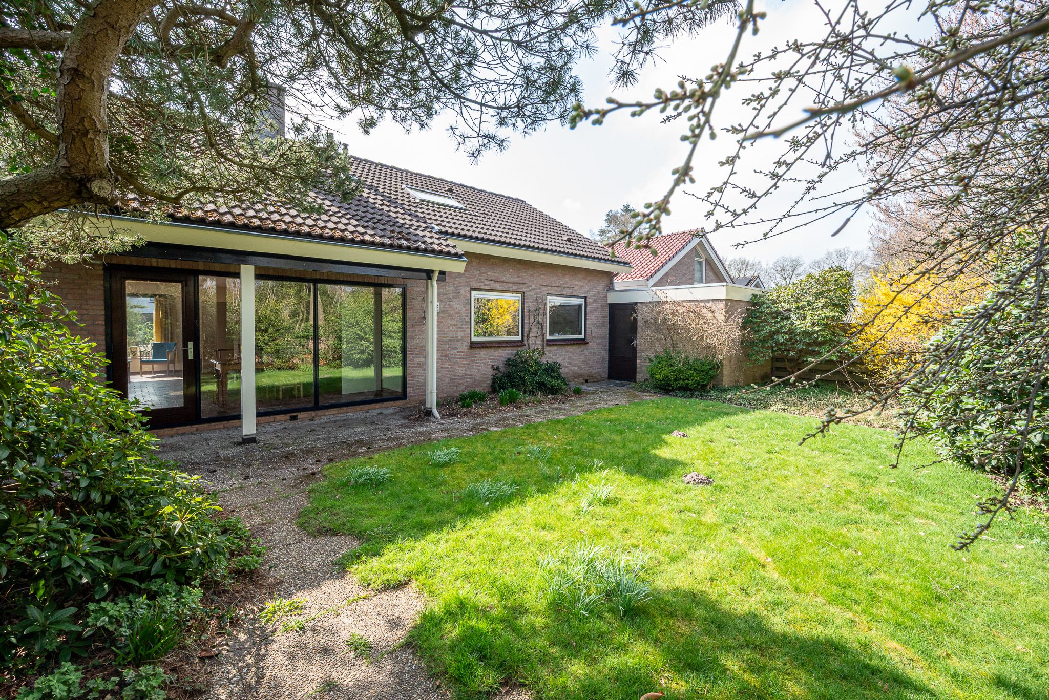 Foto 3 van Oosterzoom 11