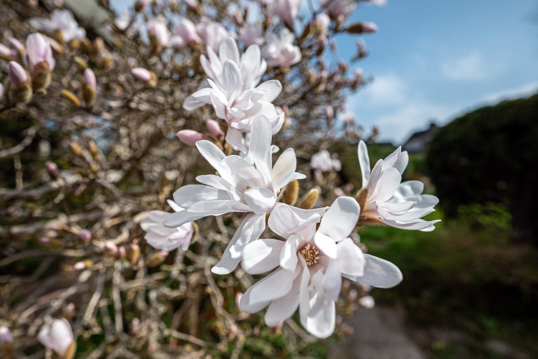 Foto 11 van Oosterzoom 11