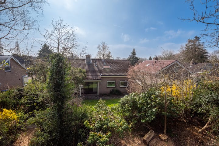 Foto 39 van Oosterzoom 11