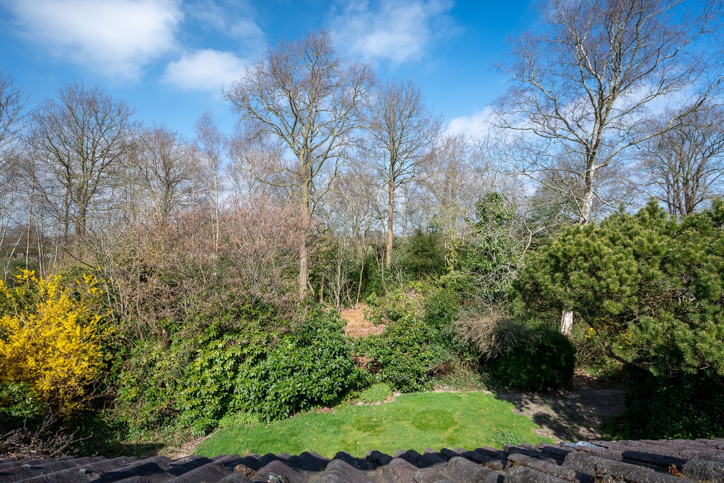 Foto 40 van Oosterzoom 11