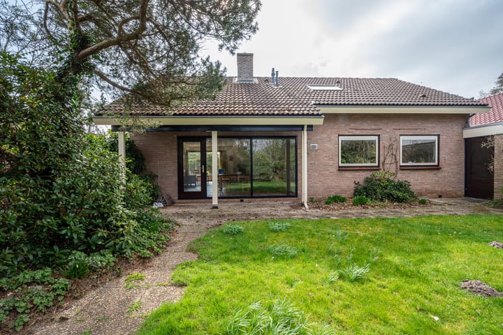 Foto 42 van Oosterzoom 11