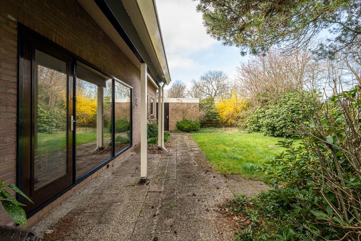 Foto 45 van Oosterzoom 11