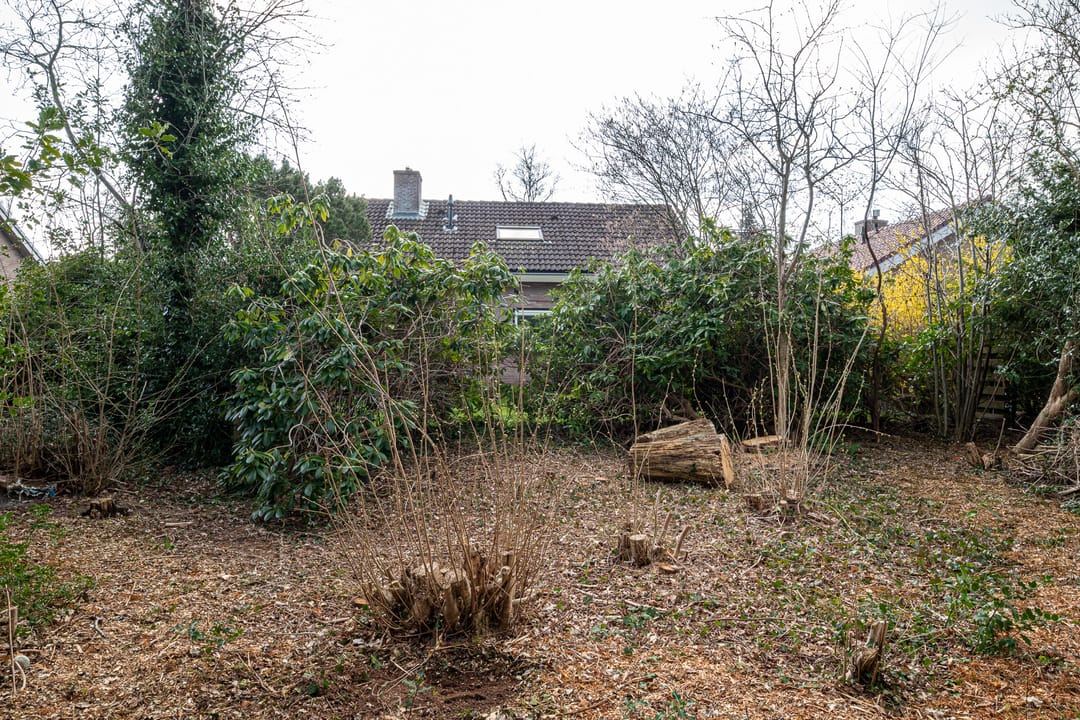 Foto 46 van Oosterzoom 11