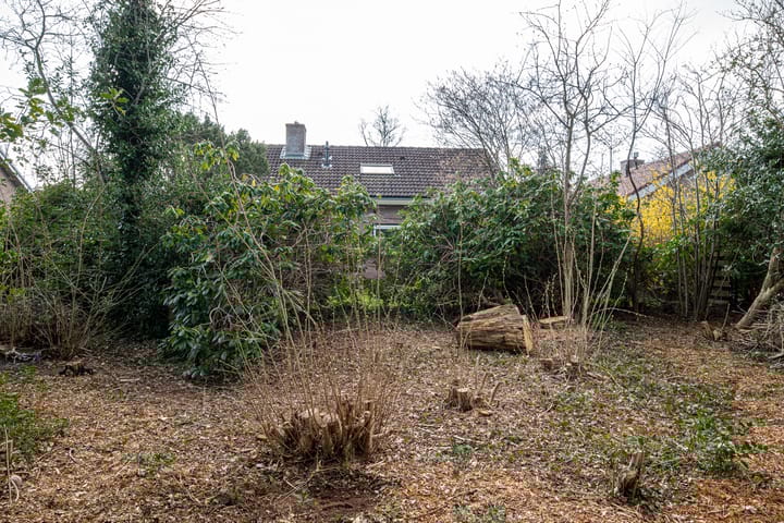 Foto 46 van Oosterzoom 11