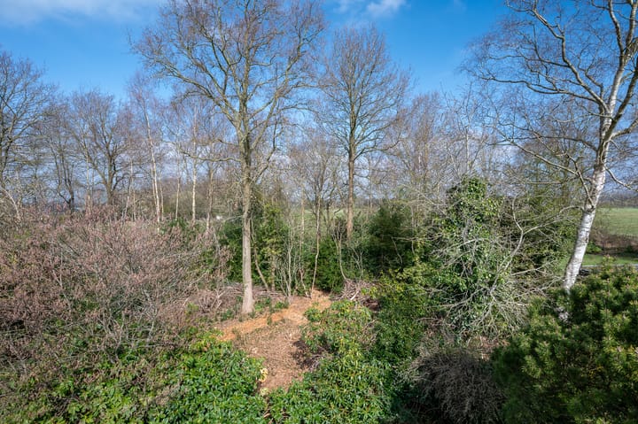 Foto 47 van Oosterzoom 11