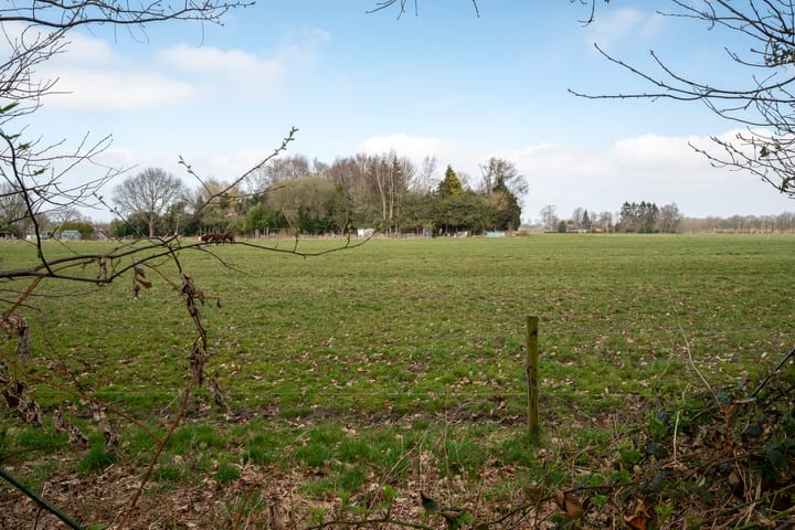 Foto 48 van Oosterzoom 11