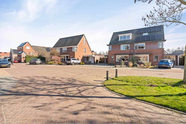 Foto 6 van Paulus Potter 5