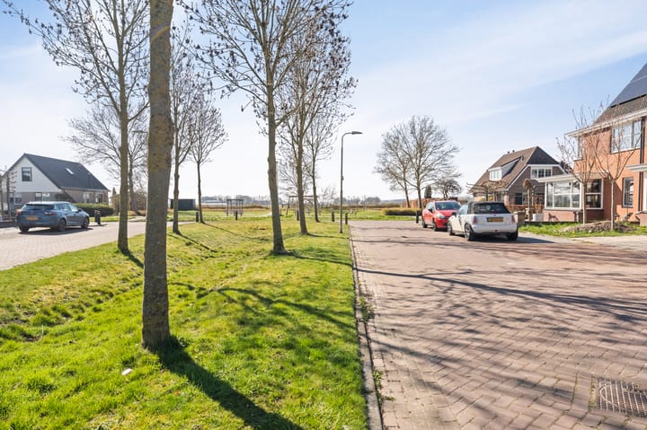 Foto 5 van Paulus Potter 5