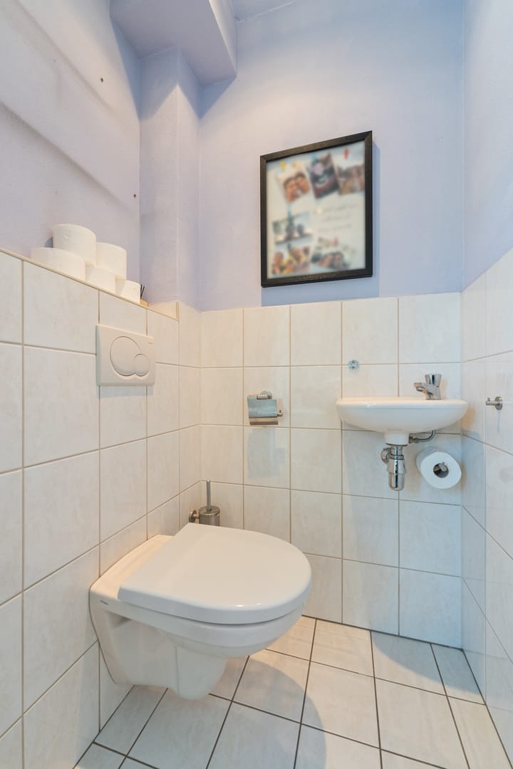 Foto 11 van Paulus Potter 5