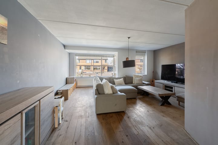 Foto 12 van Paulus Potter 5