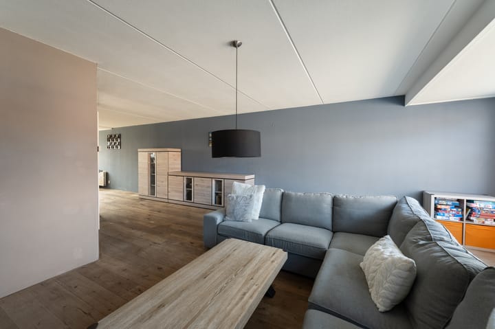 Foto 16 van Paulus Potter 5