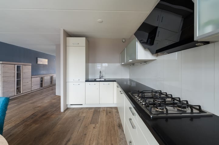 Foto 21 van Paulus Potter 5