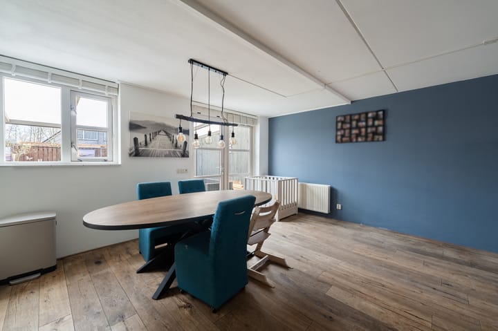 Foto 22 van Paulus Potter 5