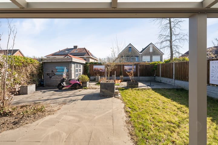 Foto 25 van Paulus Potter 5