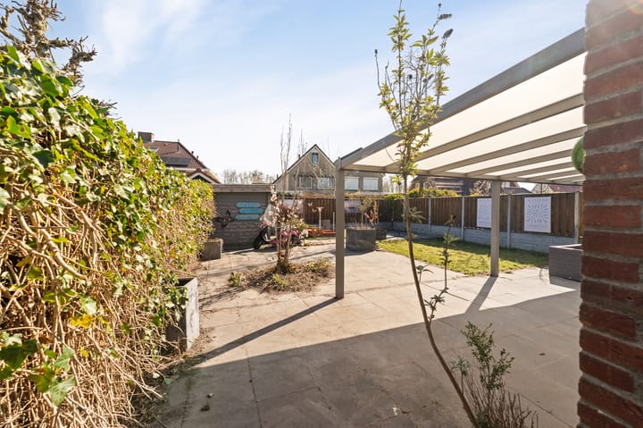 Foto 29 van Paulus Potter 5