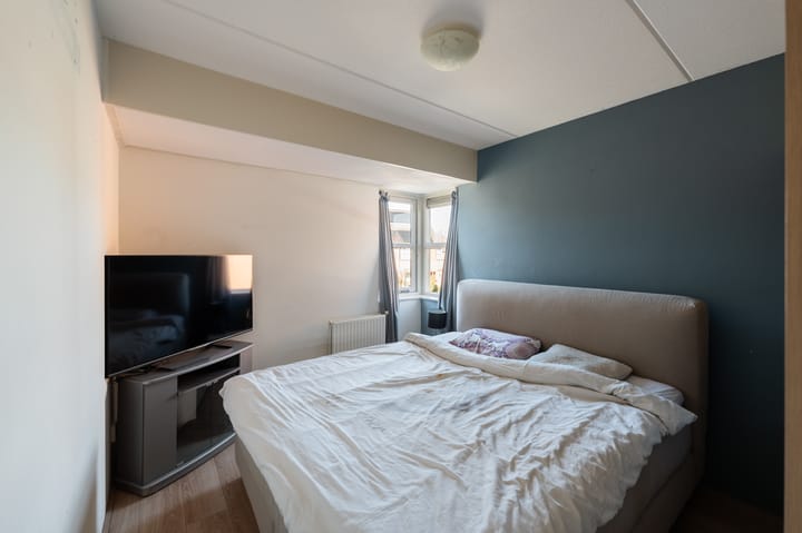 Foto 33 van Paulus Potter 5