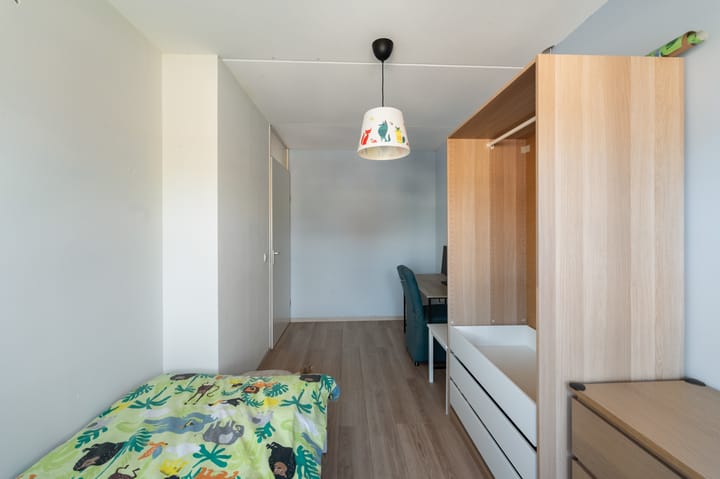 Foto 37 van Paulus Potter 5