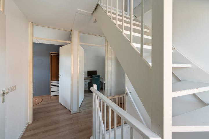 Foto 44 van Paulus Potter 5