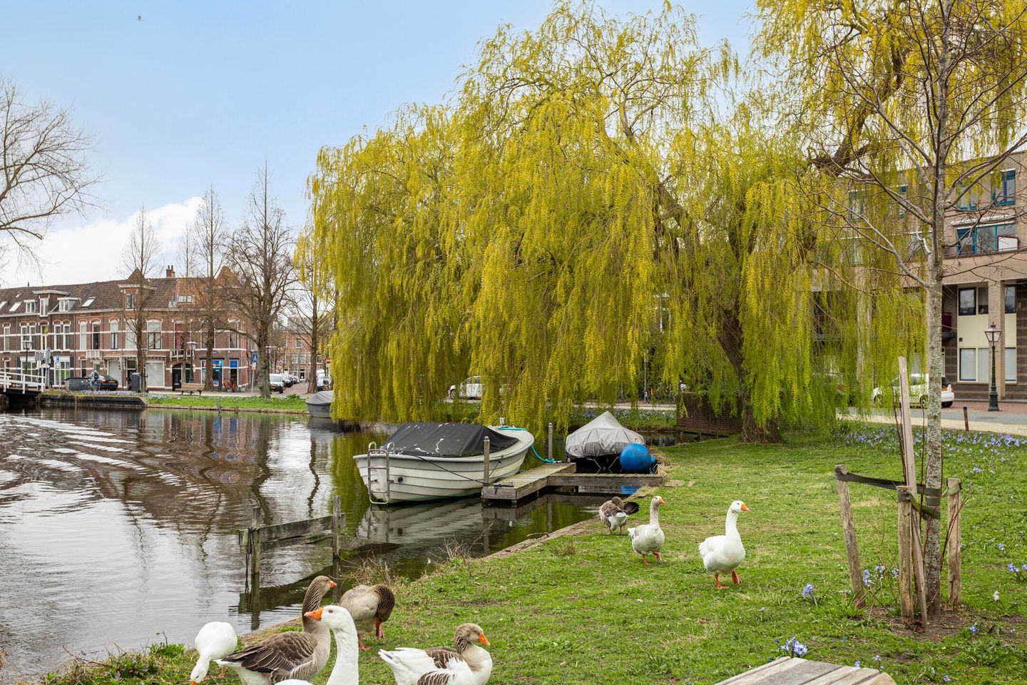 Foto 35 van Waldeck Pyrmontstraat 38