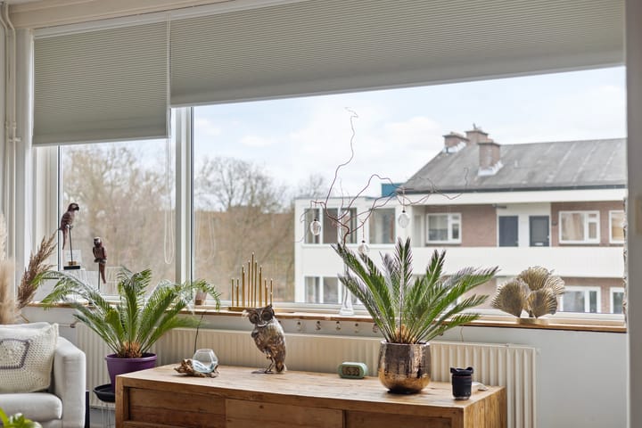 Foto 16 van Koning Lodewijklaan 588