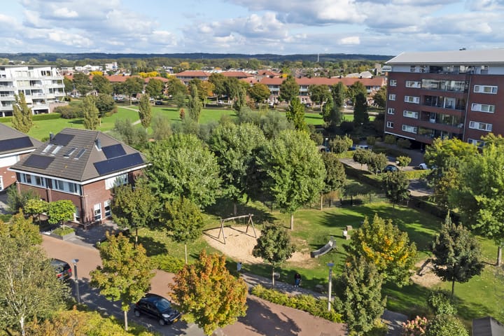 Foto 5 van Zilveresdoorn 42