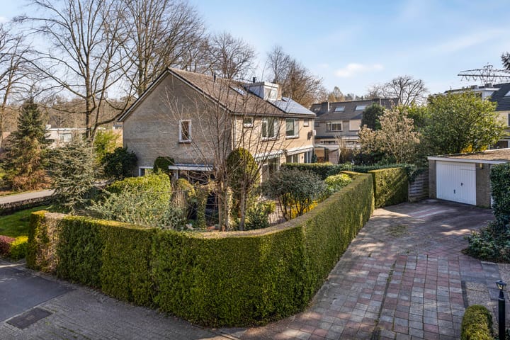 Foto 2 van Wilgenmars 3