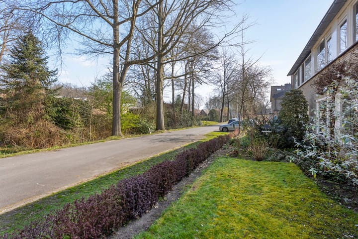 Foto 4 van Wilgenmars 3