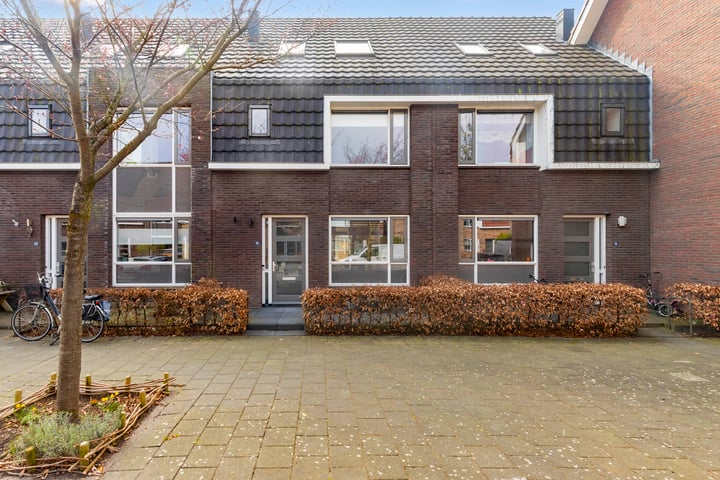 Riet 18