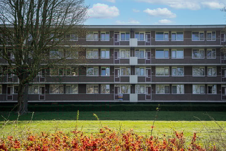 Foto 21 van Thorbeckestraat 346