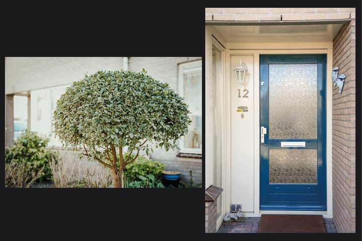 Photo 32 of Vicariehof 12